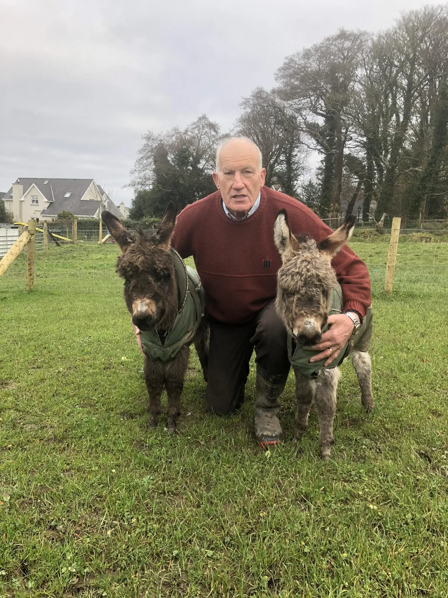 Picture of Tom Giblin with 2 donkeys